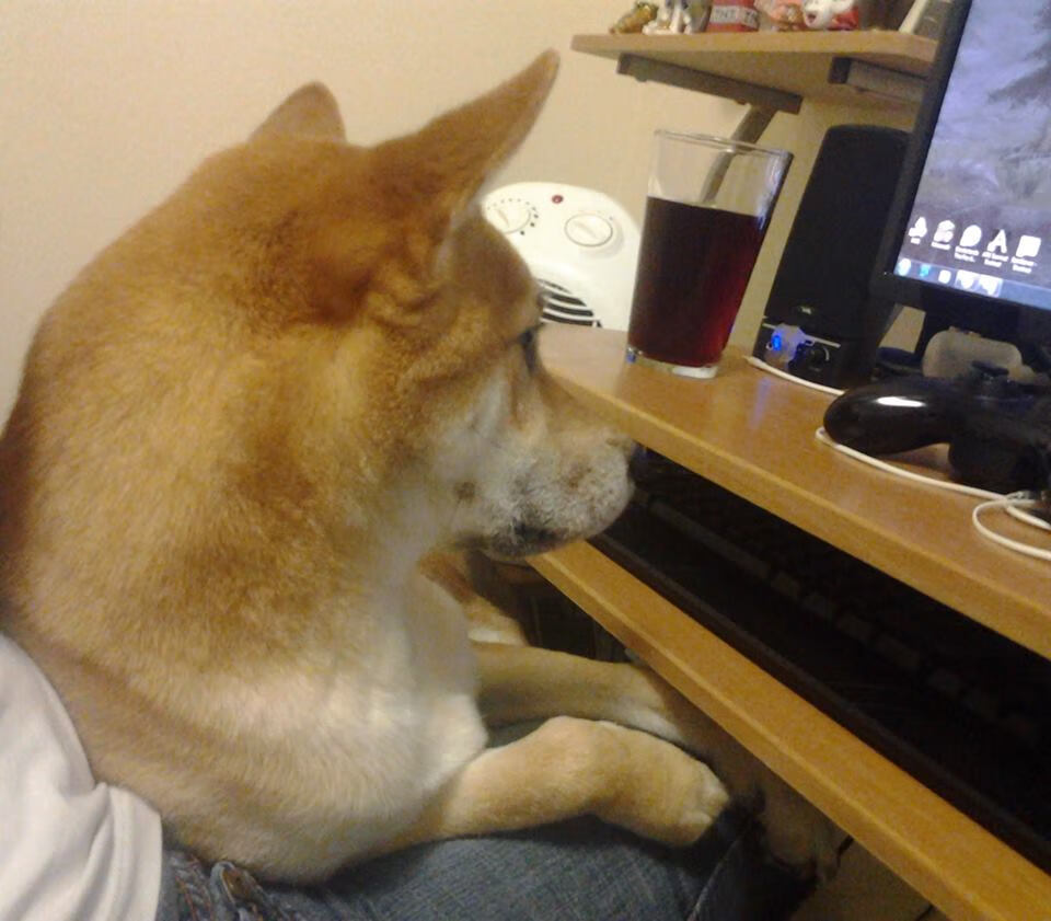 爱游戏官方-扎卡尼补时绝平克罗地亚，助意大利晋级欧洲杯淘汰赛。，欧洲杯意大利小组第一