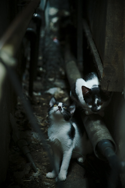 格罗宁根客场获胜,实力得到验证,格罗宁根队