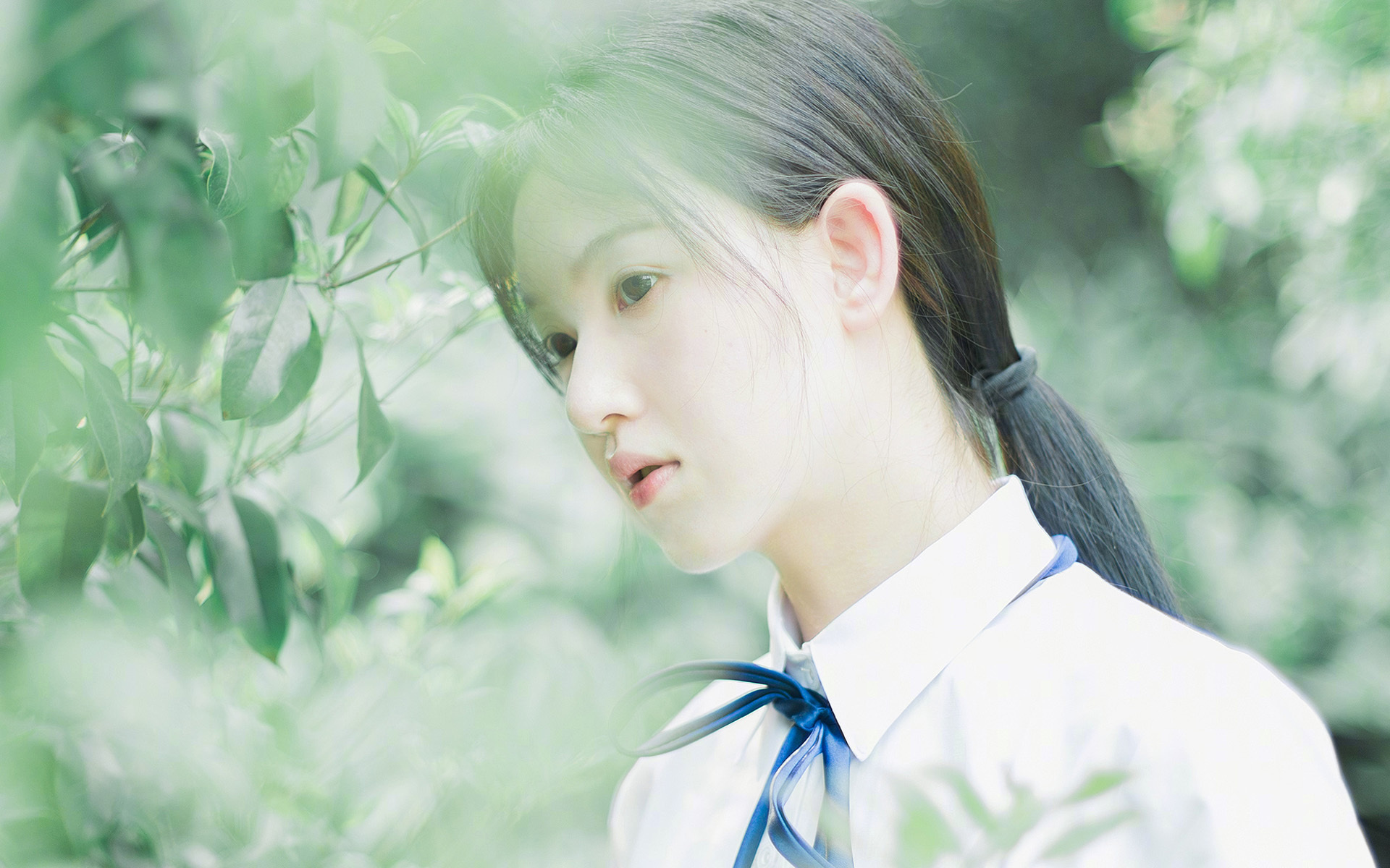 美国马术协会举办“Mustang Challenge”文化交流活动,促进传统文化传承。