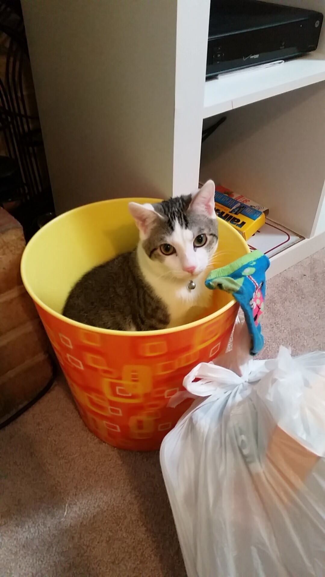 英格兰国家队实力出色,或将迈入决赛盛宴,英格兰国家队什么水平