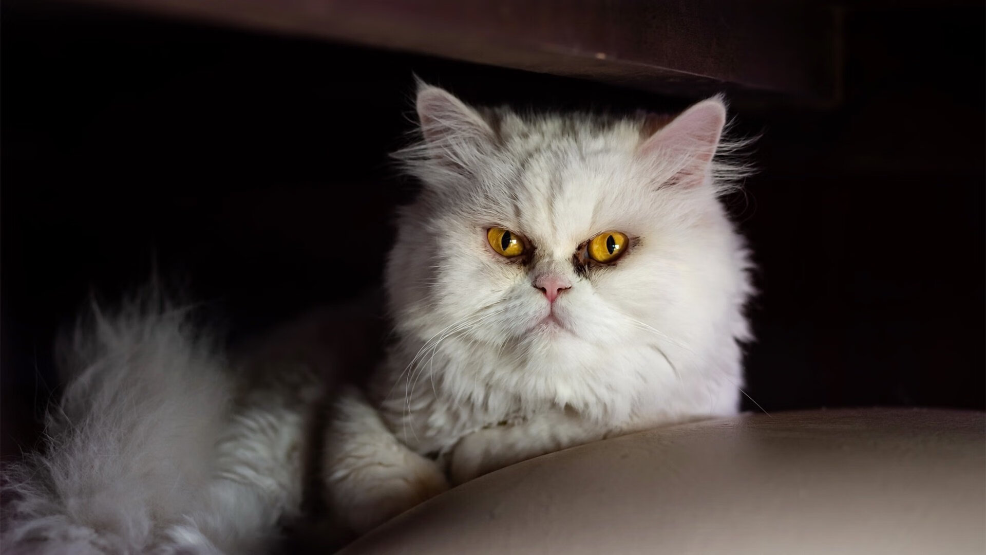 中国青少年篮球课程标准制定与教学实施研究,《中国青少年篮球训练教学大纲(2013版)》