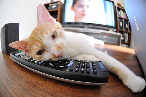 青少年体育运动能力发展轨迹研究,青少年体能发展的理论与锻炼实践