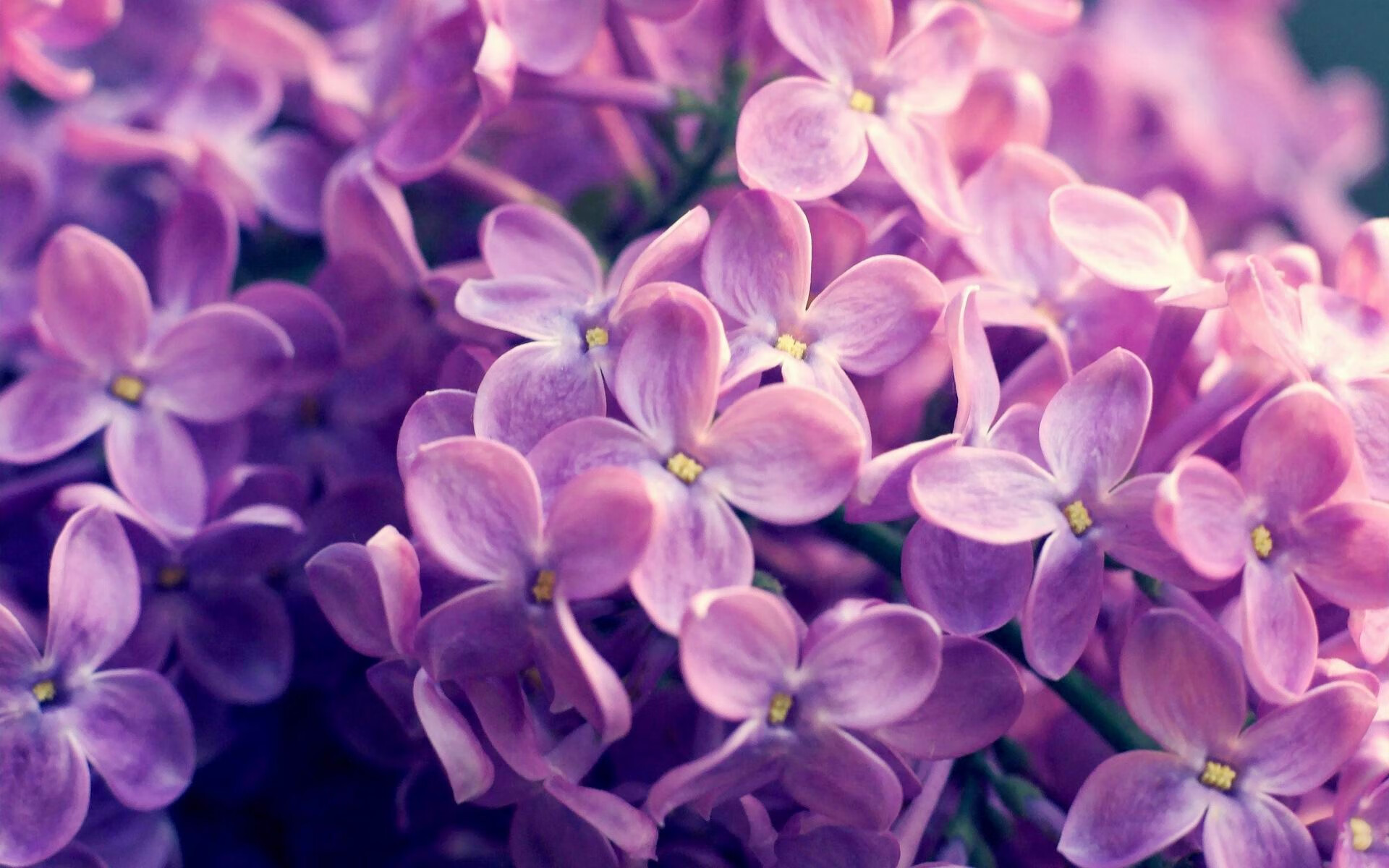 PSG球员心理压力大,决赛表现受影响,psg是哪支球队