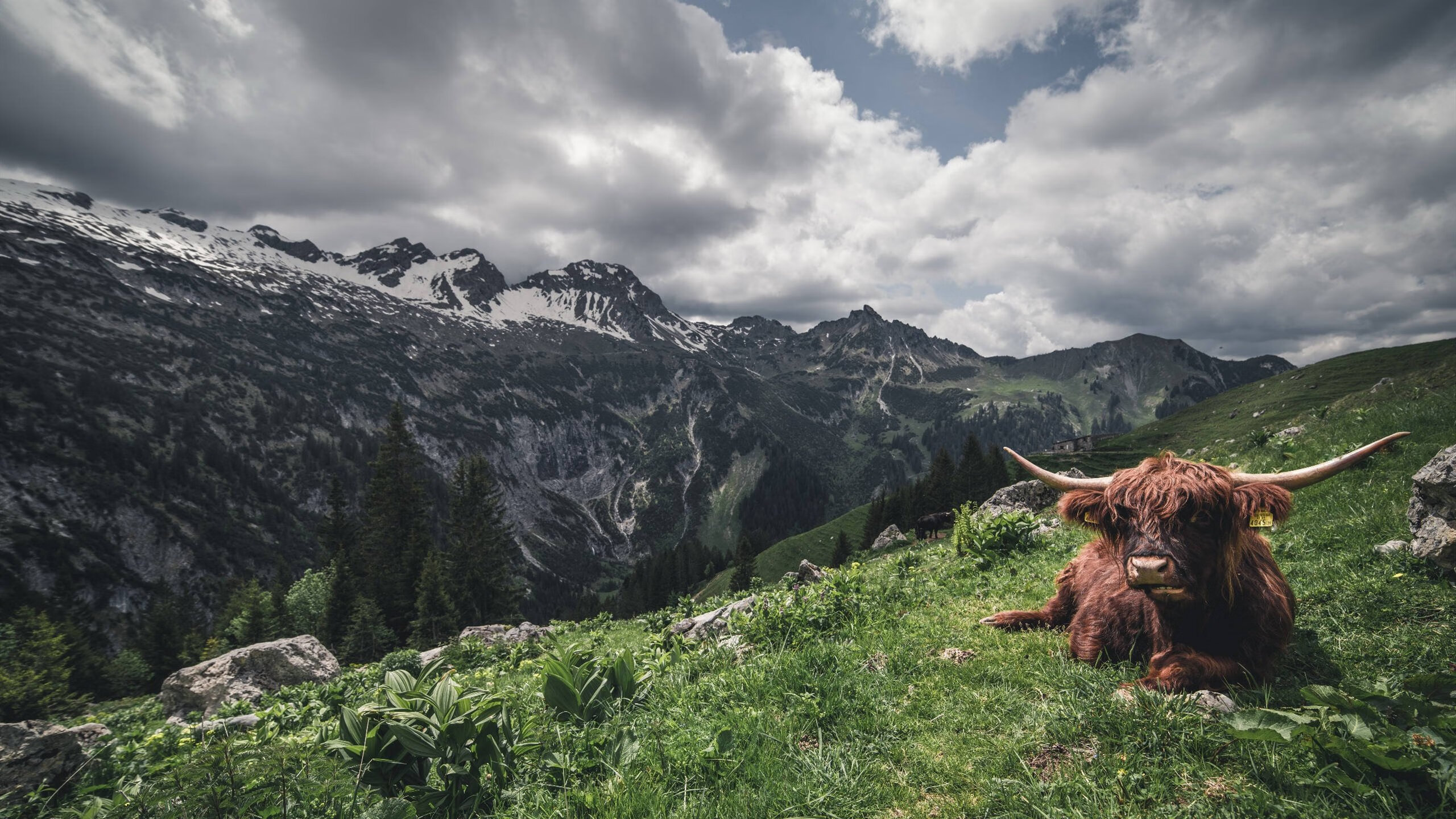 东亚杯中国足球爆冷 球员沟通成焦点,东亚足球队踢中乙时的主力名单