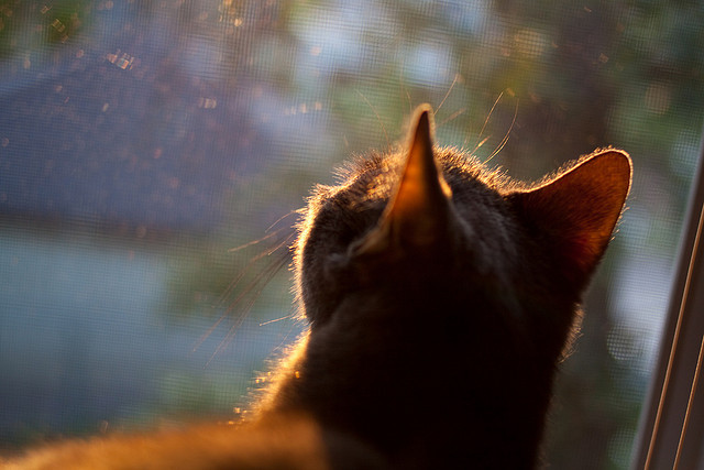 中国男篮控球技术提升,中国男篮指导