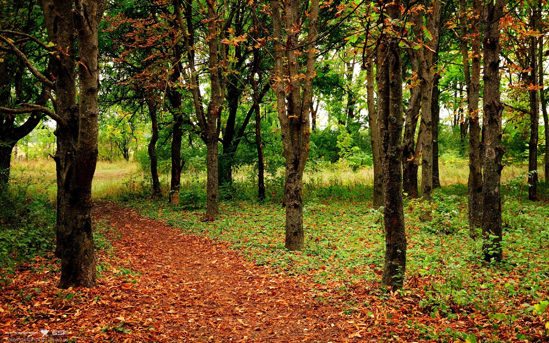 五大联赛防线集体压上的风险是否值得重新评估,五大联赛的规则