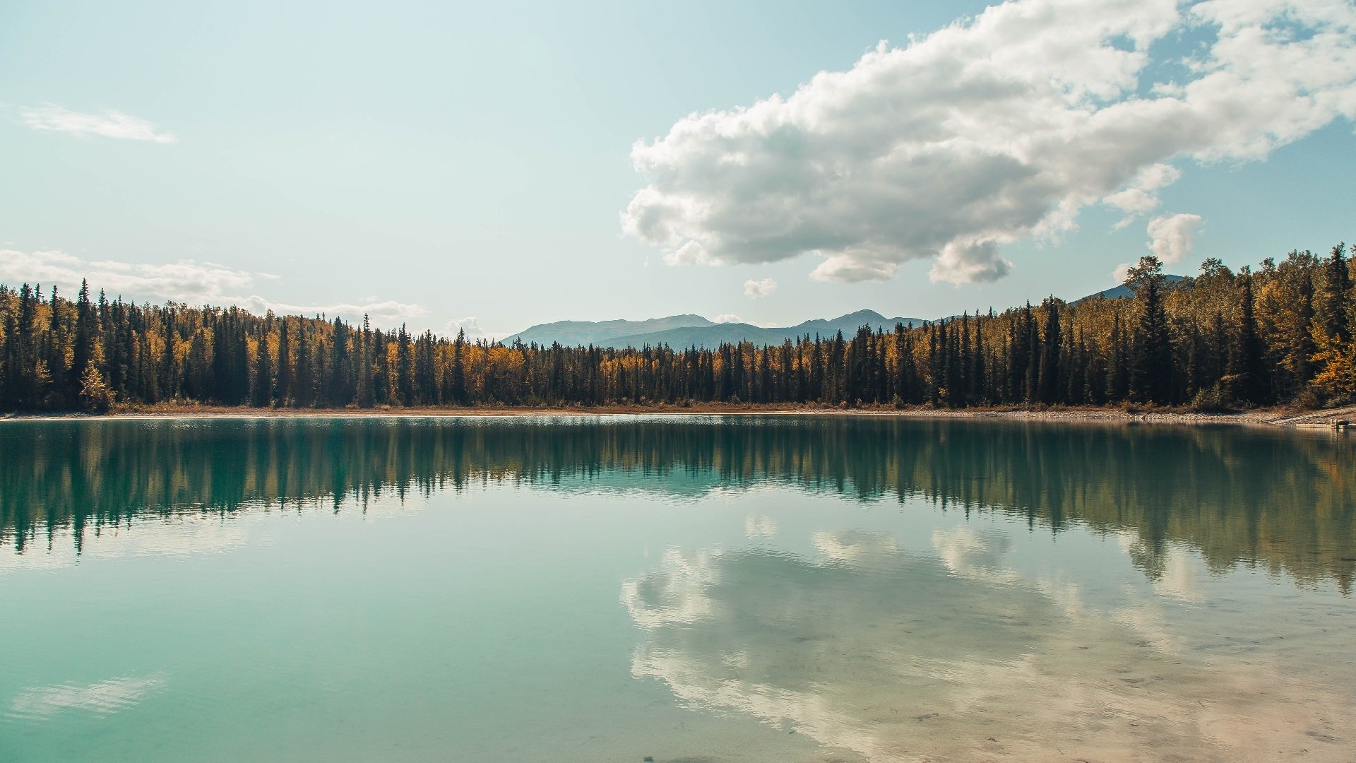 体育明星公益慈善影响深远,体育明星捐款和娱乐明星捐款