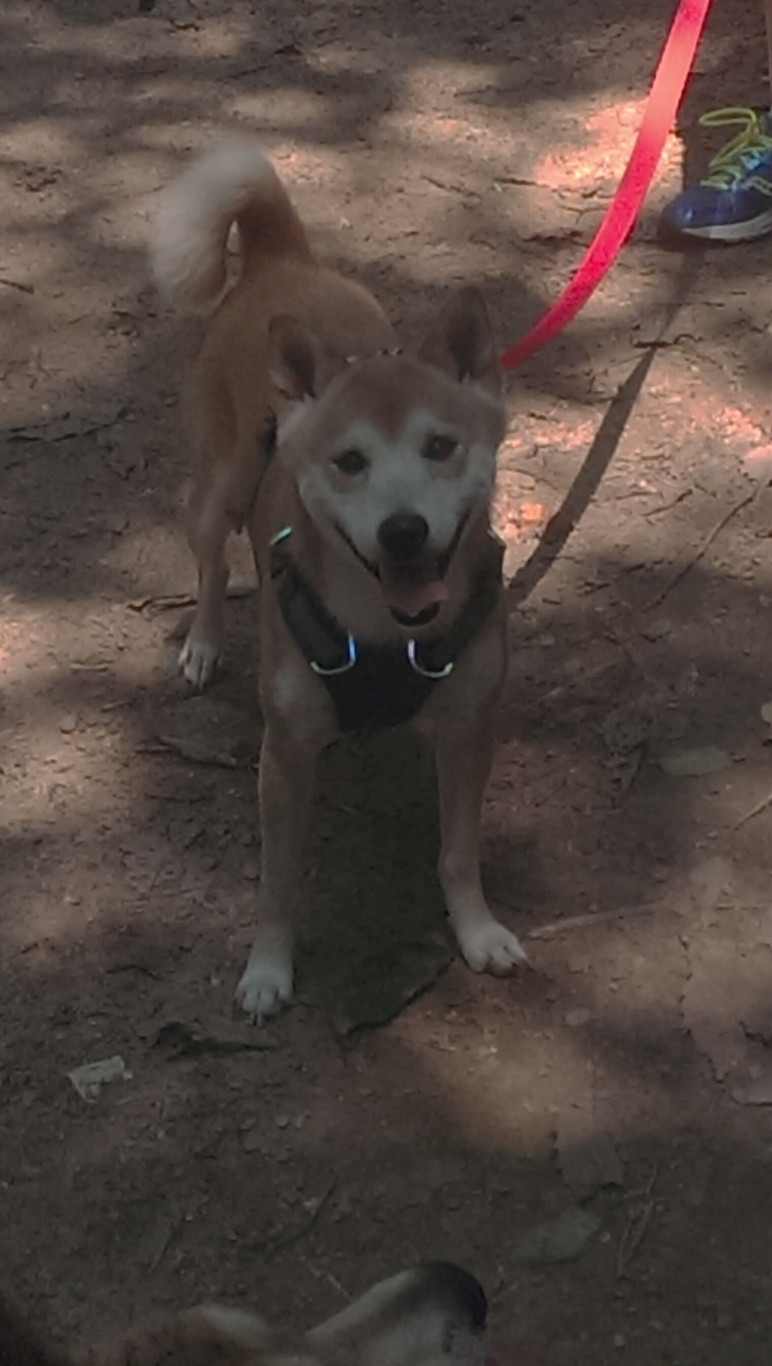 俱乐部管理层更替频繁引发不稳定,俱乐部管理模式