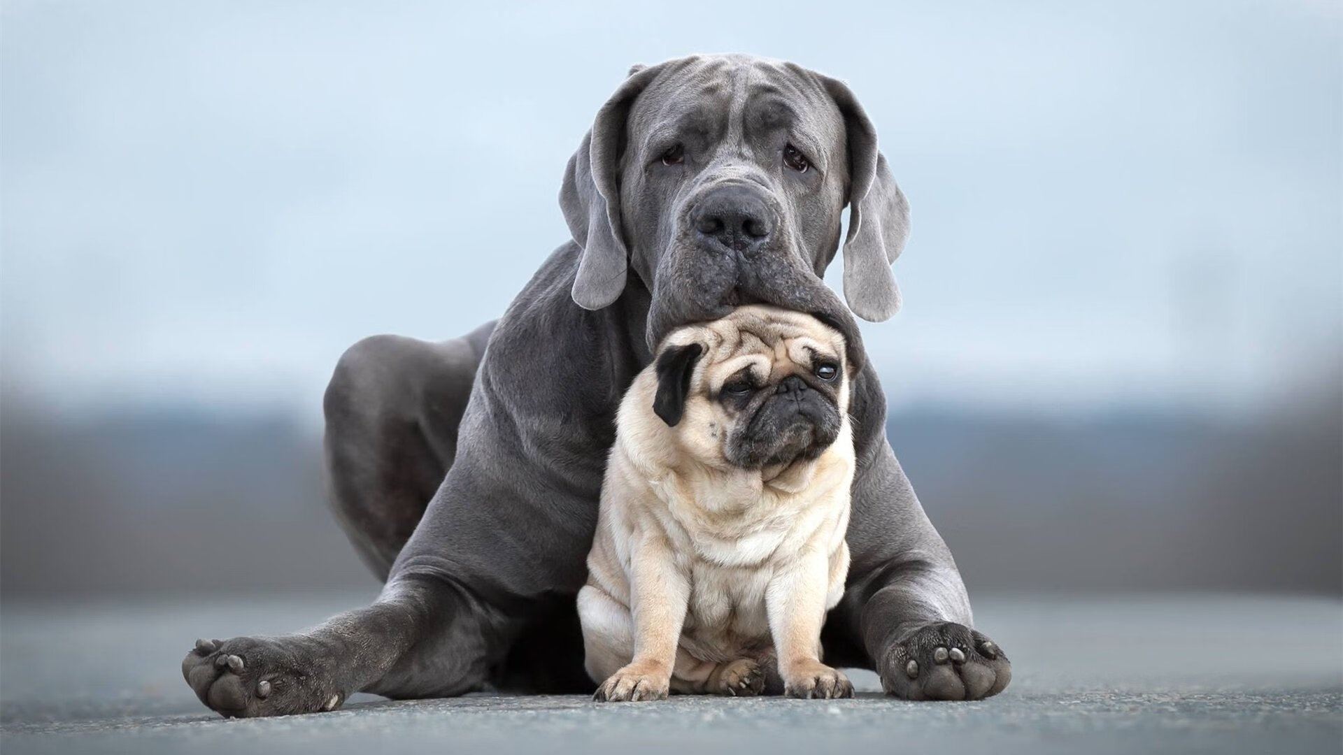 爱游戏平台-印度乒乓赛制全解：从技术到战术的多方位推进，印度乒乓球名将