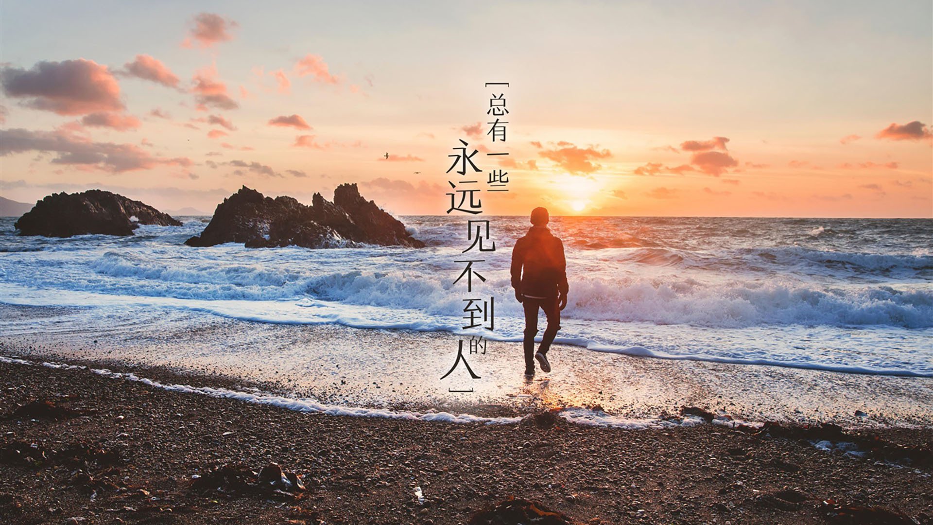 女子400混美将夺铜展新希望,女子400米美国