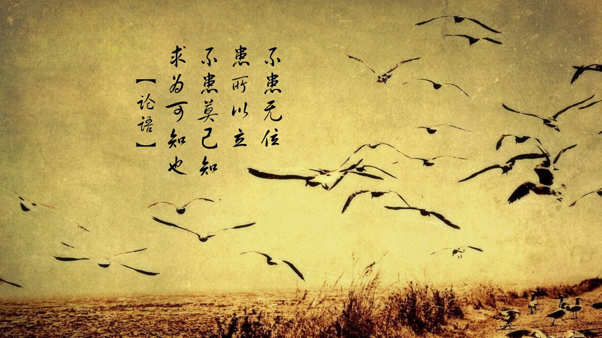 明星球员带货直播开启体育电商新模式,体育明星商业代言