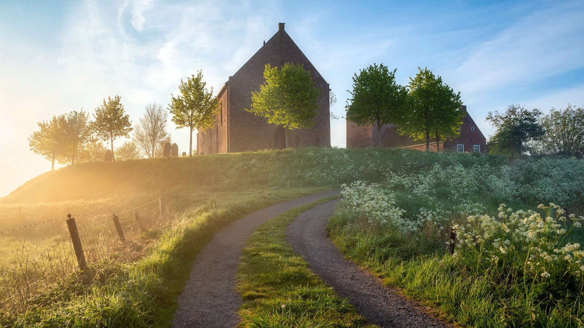 “亚戈·卡尔曼的强硬风格与全面技术,让美洲狮队在世界赛场中称霸”