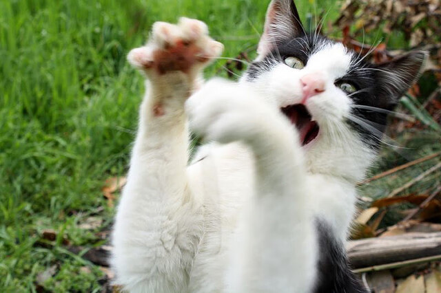 爱游戏电竞官网-世界杯精彩纷呈：里程碑式的经典剧目！，世界杯精彩片段