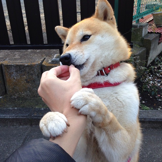 乌兰多冲线瞬间引全场沸腾,乌兰乌拉