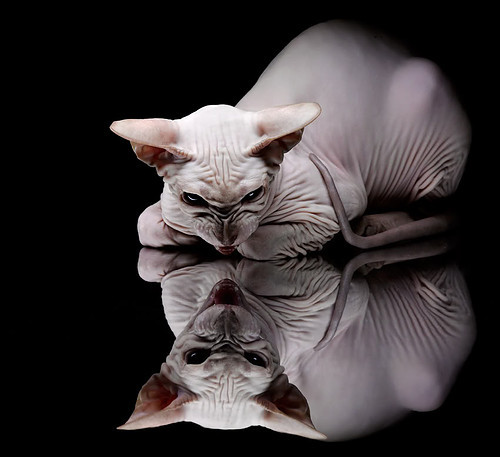 爱游戏平台-克莱尔稳扎稳打 展现自由泳长项实力，克莱尔jmb