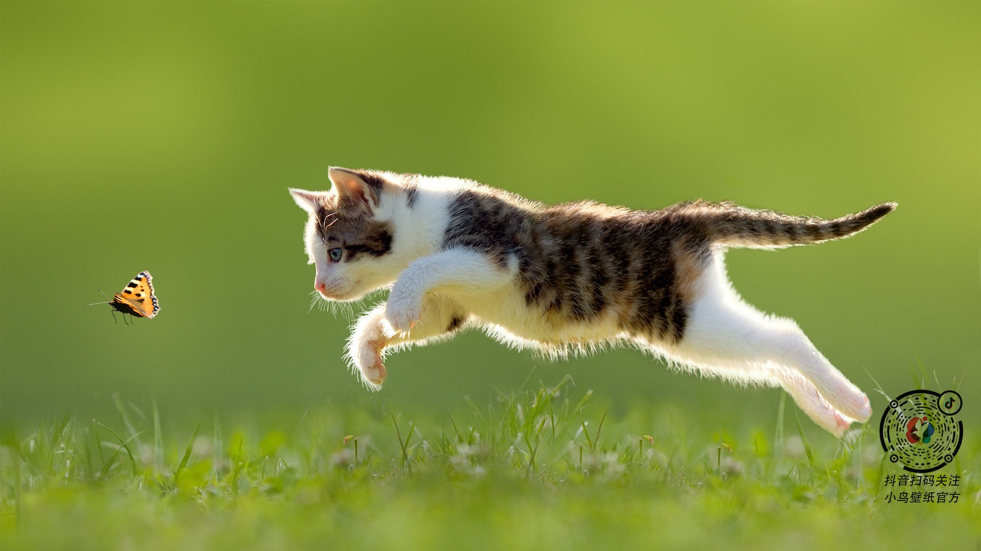 巴雷特:无论面对多强对手,他总能冷静决策引领全黑队反击,巴雷特百度百科