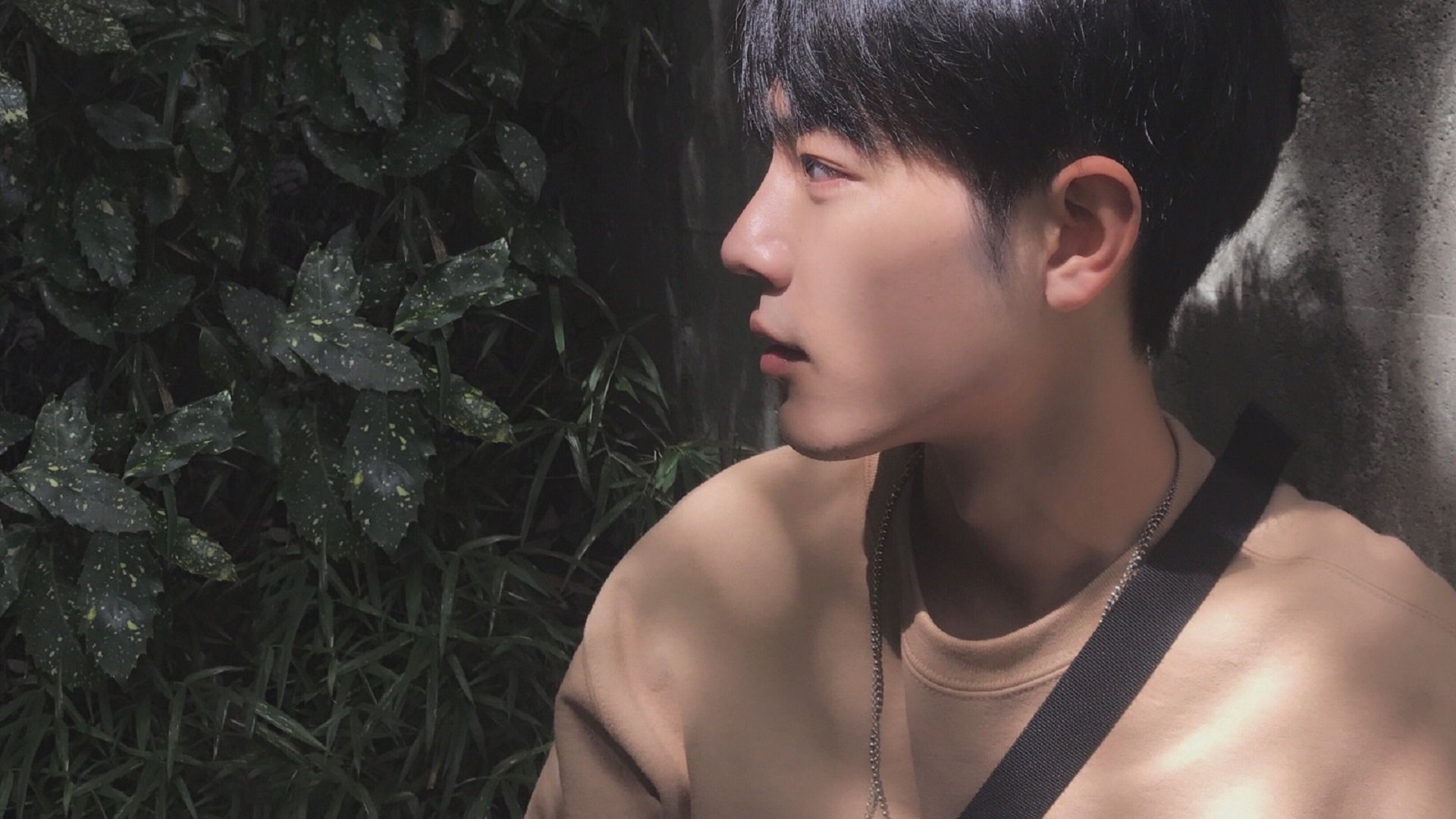 德甲战术体系的持续创新探索,德甲格局