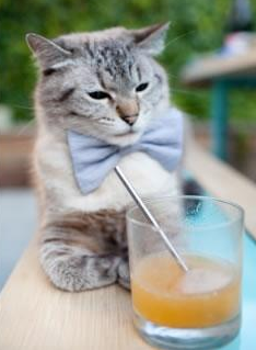 西亚卡姆关键抢断扭转比赛走势,西亚卡姆在哪个球队